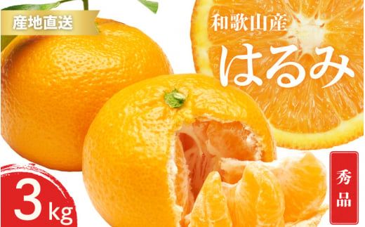 【先行予約】秀品 はるみ 和歌山 有田 S～2Lサイズ 大きさお任せ 3kg【2025年1月下旬～3月下旬までに順次発送予定】/ みかん フルーツ 果物 くだもの 蜜柑 柑橘【ktn046】