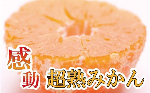 家庭用　超熟有田みかん2.5kg+75g（傷み補償分）【わけあり・訳あり】【光センサー選果】＜11月上旬より順次発送予定＞【ikd113B】