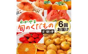 【旬のくだもの定期便】和歌山県の旬のフルーツをお届け！　全6回【Ｓ】（配送日時指定不可）※北海道・沖縄・離島への配送不可 / みかん いちご 清見オレンジ すいか 桃 柿【ard-tkb900A】