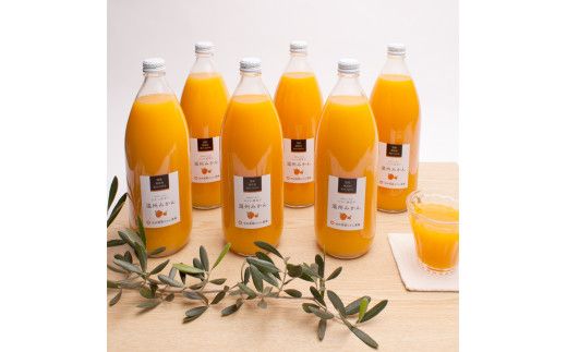 無添加・有田みかん100%ストレートジュース1000ml×6本【ikd110A】