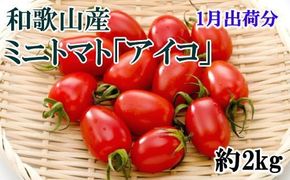 和歌山産ミニトマト「アイコトマト」約2kg（S・Mサイズおまかせ）【tec100】