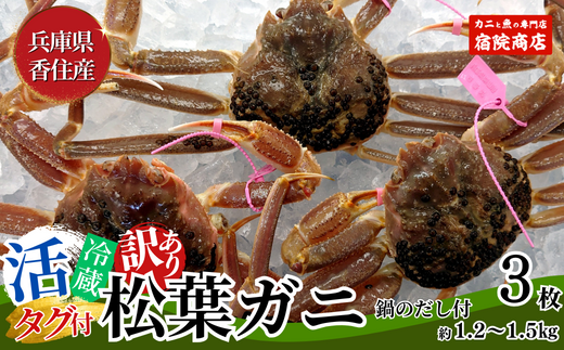 [訳あり 活松葉ガニ 生 3枚(計約1.2〜1.5kg)冷蔵]※足が1〜2本折れたカニが混じります 令和7年2月以降配送予定 兵庫県 香住 柴山 ズワイガニ かに 宿院商店 33-26