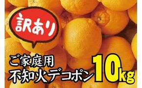 ＼光センサー選別／ 【訳あり】ちょこっと訳あり不知火デコポン 約10kg【ご家庭用】 ※2025年2月中旬より順次発送予定（お届け日指定不可）【nuk121B】