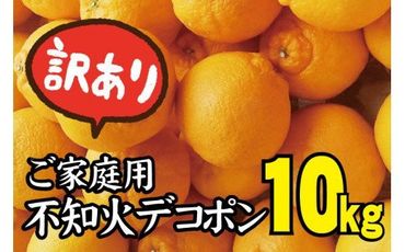 ＼光センサー選別／ 【訳あり】ちょこっと訳あり不知火デコポン 約10kg【ご家庭用】 ※2025年2月中旬より順次発送予定（お届け日指定不可）【nuk121B】