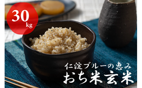 令和8年産　新米　仁淀ブルーの恵み「おち米」（玄米）30kg