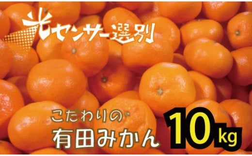 [2024年秋以降発送予約分]＼光センサー選別/ [農家直送]こだわりの有田みかん 約10kg+250g(傷み補償分) 有機質肥料100% サイズ混合 [11月〜1月中旬に順次発送][nuk101D]