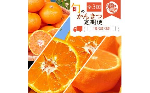 ya̎RV{szyS3zIBa̎RY{̊k(݂Esm΁EƂ)ytkb382z