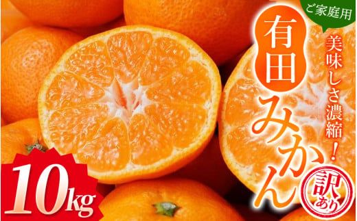 みかん [訳あり]農家直送 有田みかん 約10kg ご家庭用 サイズ混合 ※2025年11月中旬より順次発送予定(お届け日指定不可)※北海道・沖縄・離島への配送不可 訳あり 温州[nuk138E]