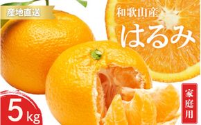 【先行予約】ご家庭用 はるみ 和歌山 有田 S～3Lサイズ 大きさお任せ 5kg【2025年1月下旬～3月下旬までに順次発送予定】/ みかん フルーツ 果物 くだもの 蜜柑 柑橘【ktn047】