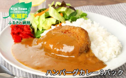 スピード発送!!7日〜10日営業日以内に発送★ ハンバーグカレー 9パック K16_0042_2