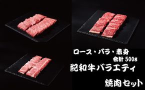 紀和牛バラエティ焼肉セット(ロース・バラ・赤身合計約500g) 【冷凍】/ 牛  肉 牛肉 紀和牛 ロース 赤身 バラ 焼肉 焼き肉 500g【tnk128-2】