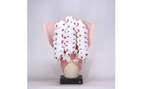 1034.フォアスPREMIUM胡蝶蘭3本立ち48輪以上 リップ (A1034-1) 