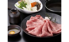 牛肉 飛騨牛 肩ロース肉 すき焼き用 500g 牛 肉 肩ロース ロース すきやき 赤身 飛騨 F4N-1717