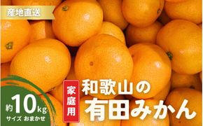 【12月発送】家庭用 有田みかん 和歌山 S～Lサイズ 大きさお任せ 10kg / みかん フルーツ 果物 くだもの 有田みかん 蜜柑 柑橘【ktn008B-12】