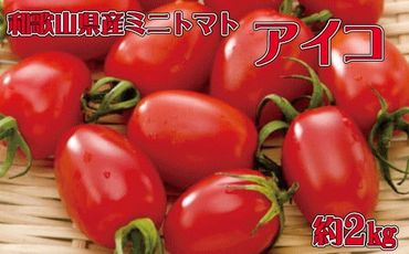 和歌山産ミニトマト「アイコトマト」約2kg（S・Mサイズおまかせ）【tec100】