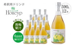 希釈用梅ドリンク 梅ハニップ 12本セット / 飲料 ジュース 梅 ドリンク【prm014A】