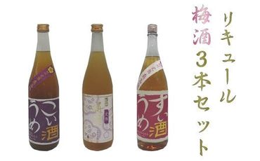 リキュール梅酒3本セット 【miy125】