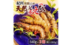 紀州和歌山産天然足赤えび540g×2箱（270g×4パック）化粧箱入 ※2025年11月末頃〜2026年1月下旬頃順次発送予定（お届け日指定不可）／海老 エビ えび クマエビ 天然【uot773A】