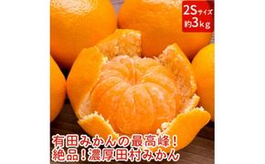 【和歌山特産品】【プレミアムブランド】絶品!濃厚田村みかん〔2Sサイズ〕秀品 約3kg ※2024年11月下旬～12月下旬頃に順次発送予定 ※北海道・沖縄・離島への配送不可【ard211】