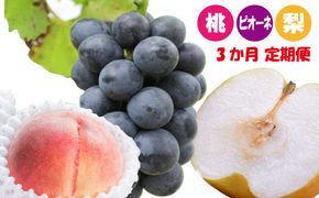 【3か月定期便】和歌山産フルーツ定期便！人気の桃・梨・ピオーネ　旬のフルーツを毎月お届け♪【tkb114】
