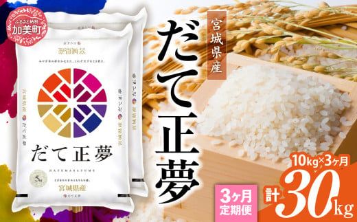 【定期便3回】令和6年産 宮城県産 だて正夢 10kg(5kg×2）×3回  [ カメイ 宮城県 加美町 ]  お米 こめ コメ 精米 白米 だてまさむね | km00015-r6-10kg-3