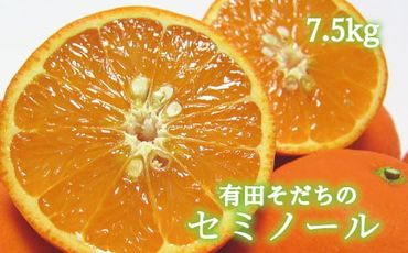【2025年4月より順次発送】有田育ちの爽快セミノールオレンジ(ご家庭用)　約7.5kg【ard026A】