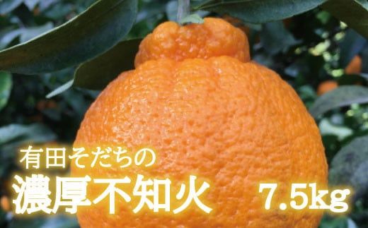 【先行予約】有田育ちの濃厚不知火(ご家庭用)(通称デコポン)　約7.5kg 【ard022A】