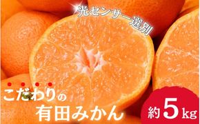 【2024年12月分】 〈年内発送〉 ＼光センサー選別／農家直送 【家庭用】こだわりの有田みかん 約5kg＋250g(傷み補償分)  【nuk160-2C】