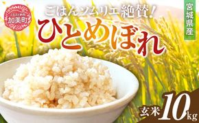  玄米 令和6年産 宮城県加美町産ひとめぼれ 10kg [菅原商店 宮城県 加美町]  | sg00002-r601-10kg