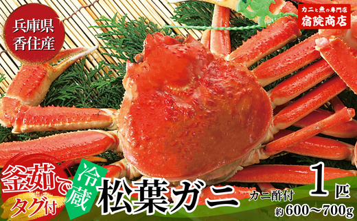 [先行予約][香住産 釜茹で松葉ガニ 1匹(約600〜700g)冷蔵]ふるさと納税 返礼品 おすすめ かに カニ 兵庫県 香美町 香住 柴山 ズワイガニ 松葉ガニ 宿院商店 68000円 33-24