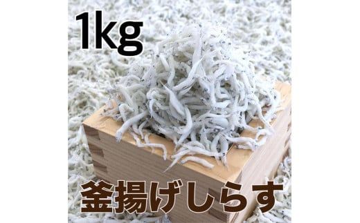 ya̎RV{szg炷1kg(500g×2pbN) / VX I  ①ցydig012z