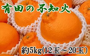【濃厚】有田の不知火約5kg（12玉～20玉おまかせ） ※2026年2月中旬～2026年4月中旬頃に順次発送予定（日付指定不可）【tec861A】
