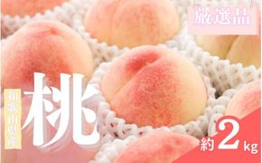 【先行予約】【厳選】あふれる果汁で口いっぱい！ 和歌山県産 桃 約2kg（6個~9個） 2025年6月末頃～2025年8月末頃に順次発送予定（お届け日指定不可）【kgr001】