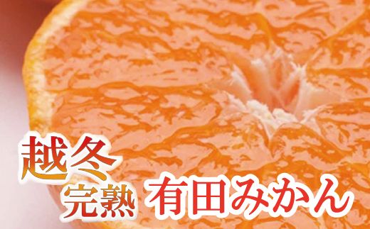 家庭用　越冬完熟みかん5kg+150g（傷み補償分）【ハウスみかん】【わけあり・訳あり】【光センサー選別】＜1月中旬より順次発送予定＞【ikd027B】