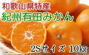 [秀品]和歌山有田みかん　約10kg(2Sサイズ) ※2024年11月中旬～1月中旬頃順次発送予定（お届け日指定不可）【tec832】