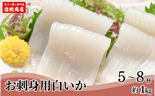 [兵庫県香住産 白いか 剣先いか お刺身用 新鮮 5〜8杯 約1kg 冷凍]国産 香住 鮮度抜群 急速冷凍 産地直送 刺身 イカ焼き イカフライ 人気 おすすめ 兵庫県 香美町 宿院商店 33-07