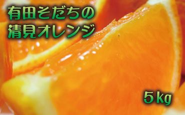 【2025年3月上旬～発送】有田育ちの完熟清見オレンジ(ご家庭用)　約5kg【ard017A】