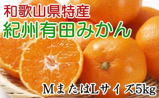 [秀品]和歌山有田みかん 5kg(MサイズまたはLサイズのいずれか) ※2024年11月中旬〜1月中旬頃順次発送予定(お届け日指定不可)[tec834]