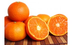 津之輝(つのかがやき)　5kg【予約】※2026年2月上旬頃～2026年2月下旬頃に順次発送予定(お届け日指定不可) 【uot761】