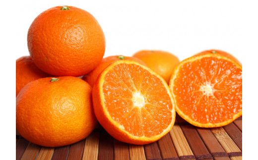 津之輝(つのかがやき)　5kg【予約】※2026年2月上旬頃～2026年2月下旬頃に順次発送予定(お届け日指定不可) 【uot761】