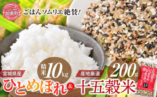 精米 令和6年産 宮城県産ひとめぼれ 10kg + 十五穀米200gセット [菅原商店 宮城県 加美町 ] | sg00001-r601-10kgset
