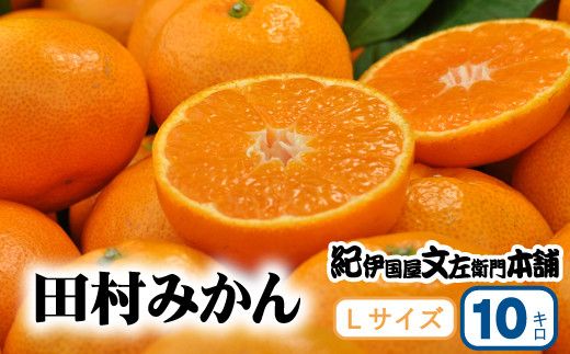 [予約受付]田村みかん 特選ギフト品10kg[Lサイズ] ◆2025年11月下旬〜2026年1月中旬頃に順次発送(お届け日指定不可) 紀伊国屋文左衛門本舗[sgtb302B]