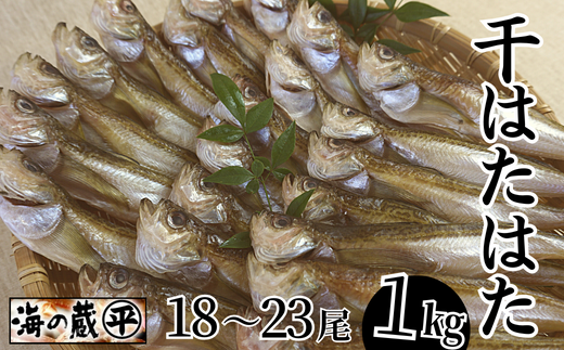 [干物 干ハタハタ 1kg 干物の本場 香住産 冷凍]一晩漬け込んだ「まぶり塩製法」伝統の技術 素材の良さ抜群 兵庫県 香美町 香住 柴山 大人気 ふるさと納税 蔵平水産 14000円 08-08