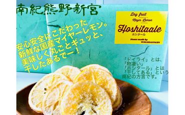 マイヤーレモンクッキー＆ドライフルーツセット【南紀名産】【wgz002】