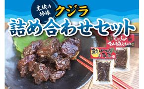 クジラ詰め合わせセット （くじらの金山寺みそ煮込み、くじら山椒角煮（口紙））【kin010】