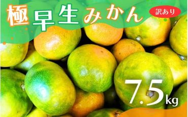 【2024年秋頃発送予約分】【訳あり】こだわりの極早生みかん 約7.5kg ※2024年10月上旬より順次発送予定（お届け日指定不可） 有機質肥料100% サイズ混合  有田産【nuk166】