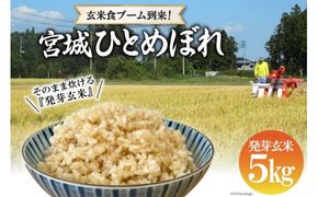 簡単に炊ける 宮城県産 ひとめぼれ 発芽玄米5kg [菅原商店 宮城県 加美町] 米 こめ コメ 玄米 発芽玄米 ご飯 | sg00004-r601-5kg