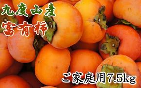 ≪柿の名産地≫九度山の富有柿約7.5kgご家庭用＜2024年11月上旬～2024年12月上旬頃に順次発送＞ 