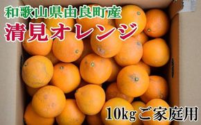 【訳あり・ご家庭用】和歌山由良町産の濃厚清見オレンジ約10kg　※2026年2月中旬～2026年2月下旬頃より順次発送（お届け日指定不可） 【tec877A】
