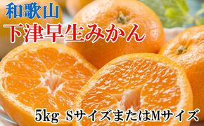 【産直】和歌山下津早生みかんSまたはM5kg ※2024年11月中旬～2025年1月中旬頃に順次発送【tec870】